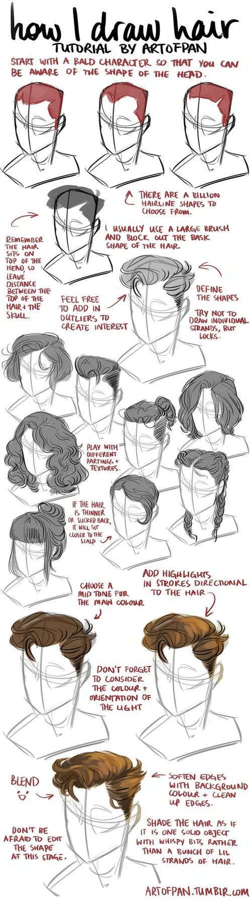Character Anatomy Hair