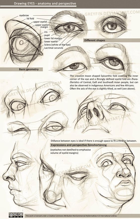 Anime Eyes Reference: Pencil by Verie on DeviantArt