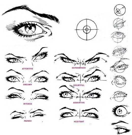 Character Anatomy Eyes