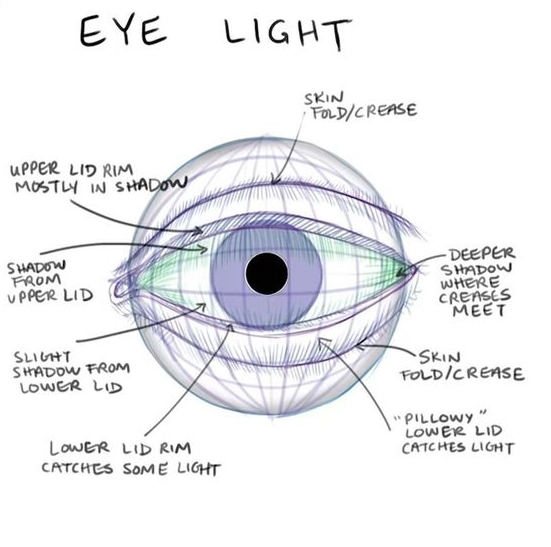 Character Design Collection: Eyes Anatomy