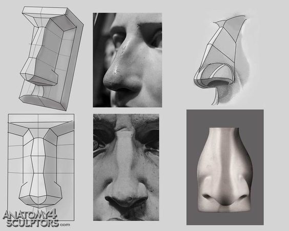 A Simple Guide to Drawing Noses