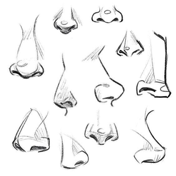 Character Anatomy | Nose