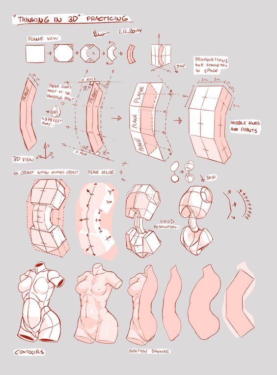 Featured image of post Anime Torso Reference See more ideas about anatomy drawing anatomy reference drawing reference
