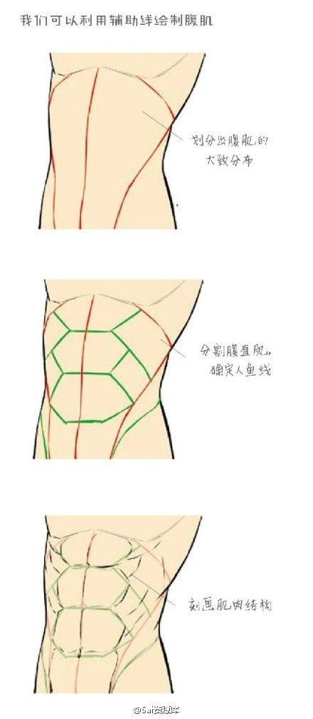 Abs Drawing  How To Draw Abs Step By Step