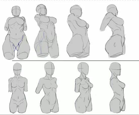 Breast sizes  Body drawing tutorial, Human body drawing, Body reference  drawing