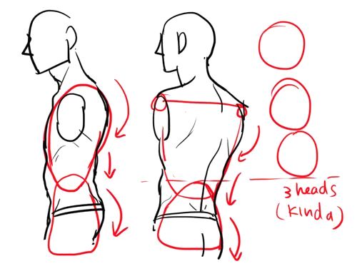 How to Draw Upper Back Muscles  Form  YouTube