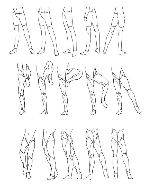 Character Anatomy Legs Find images of crossed legs. character anatomy legs
