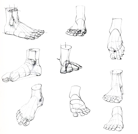 Character Anatomy | Feet