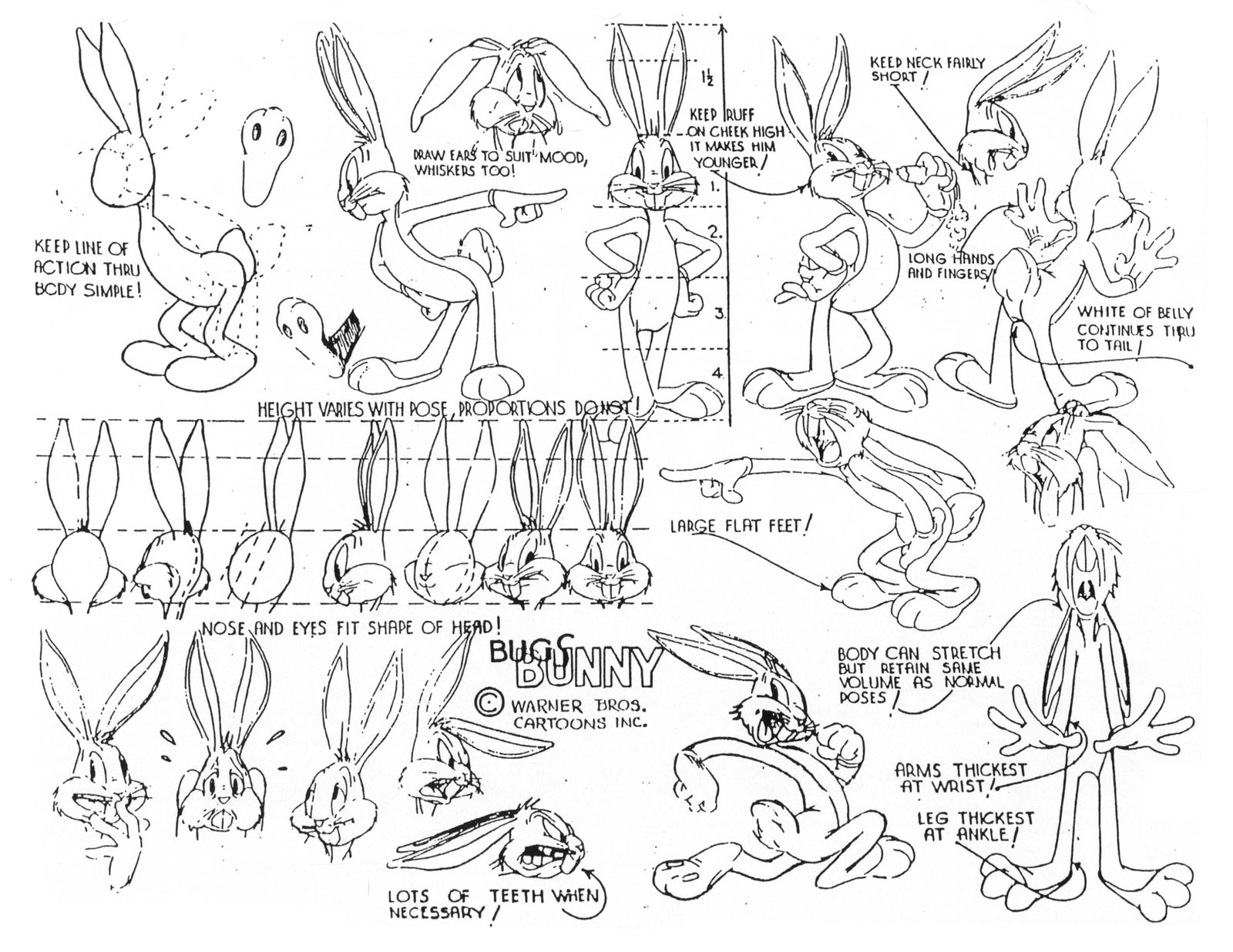 Art of Looney Tunes