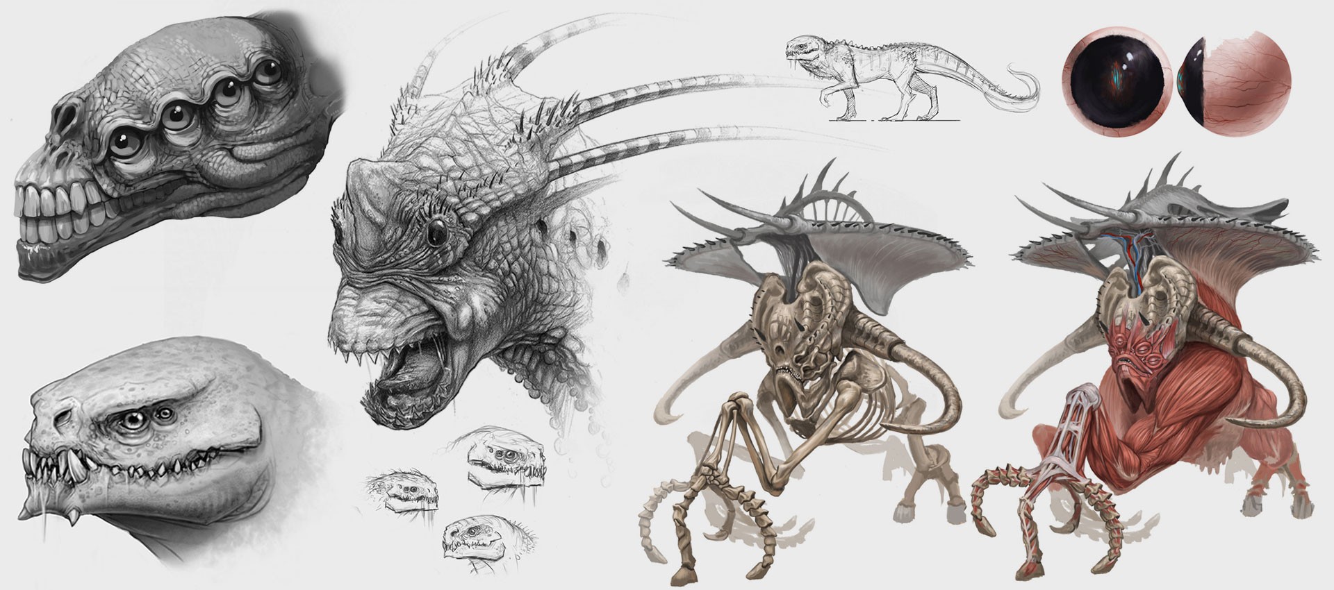 creature design.jpeg