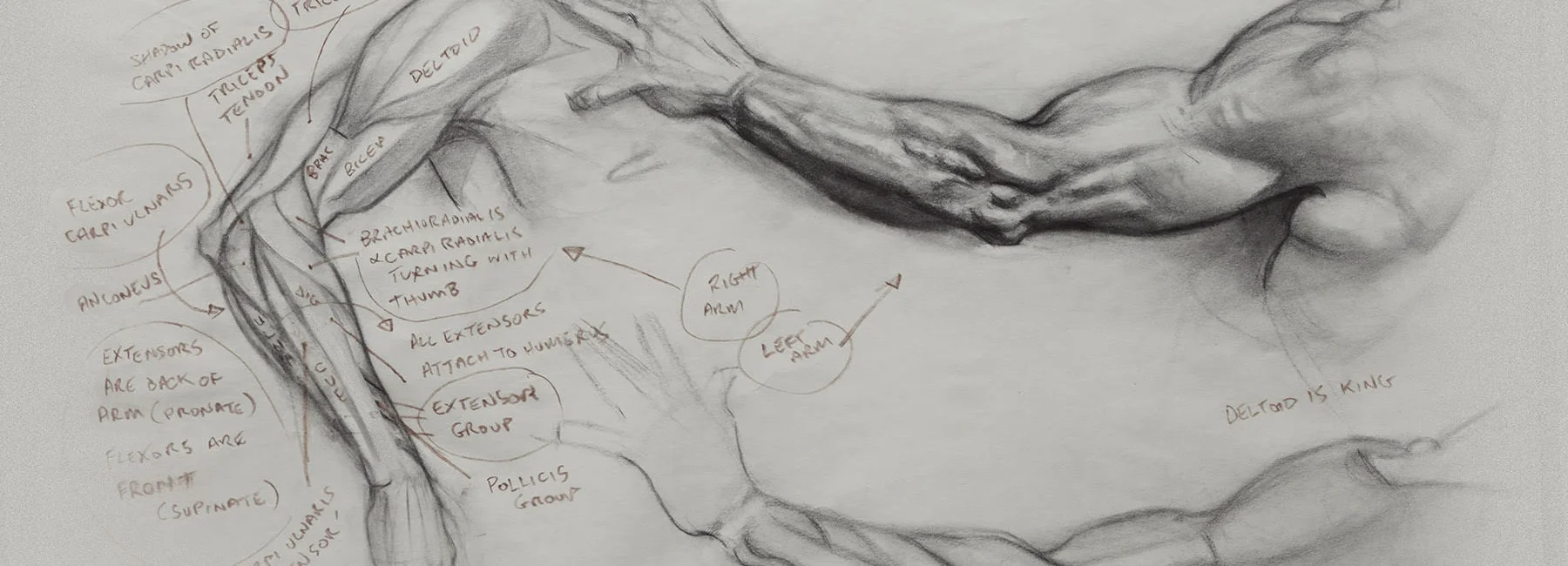 anatomy+of+style.jpg