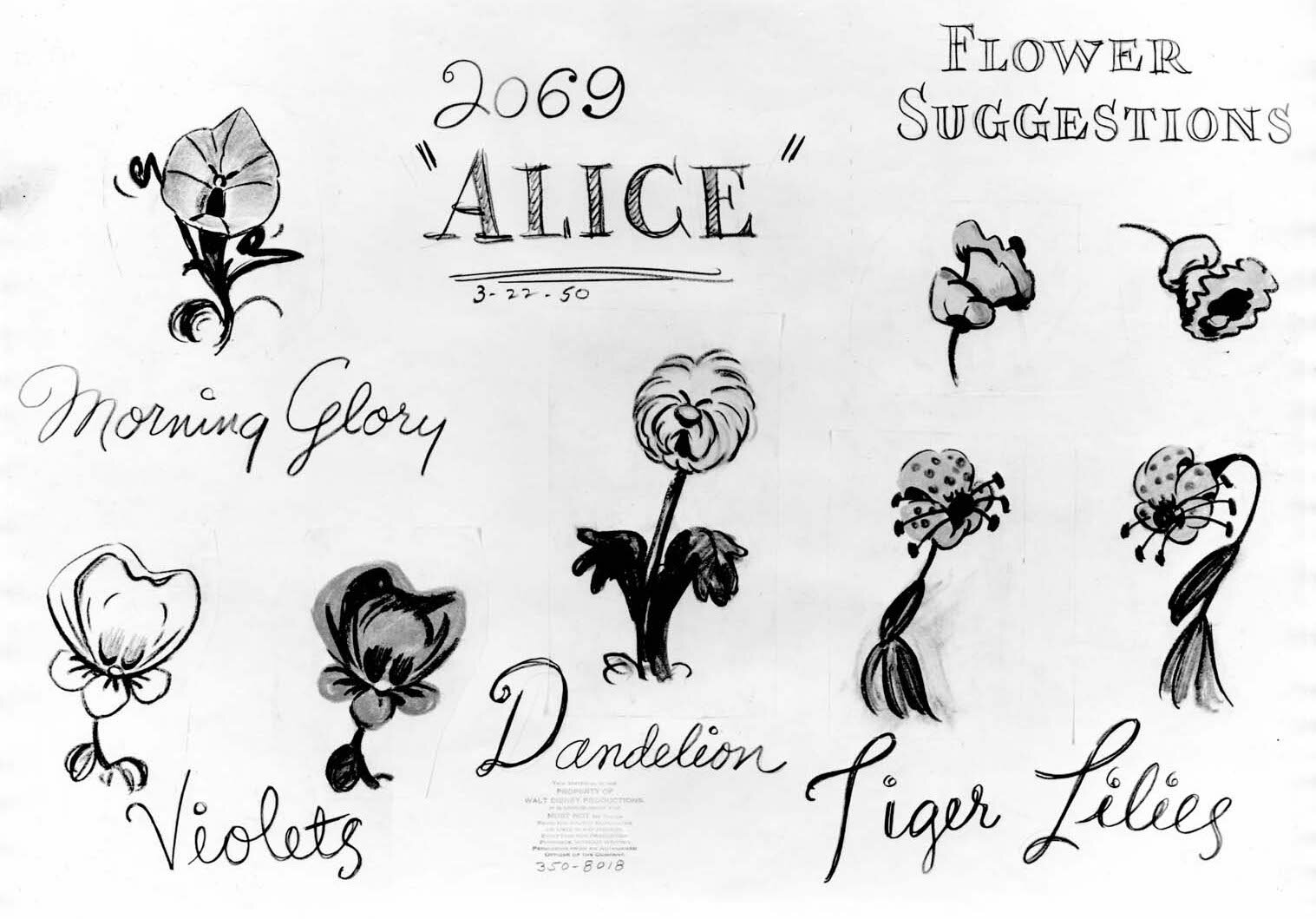 alice in wonderland drawings