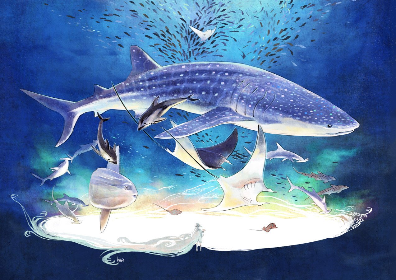 Китовая акула арт