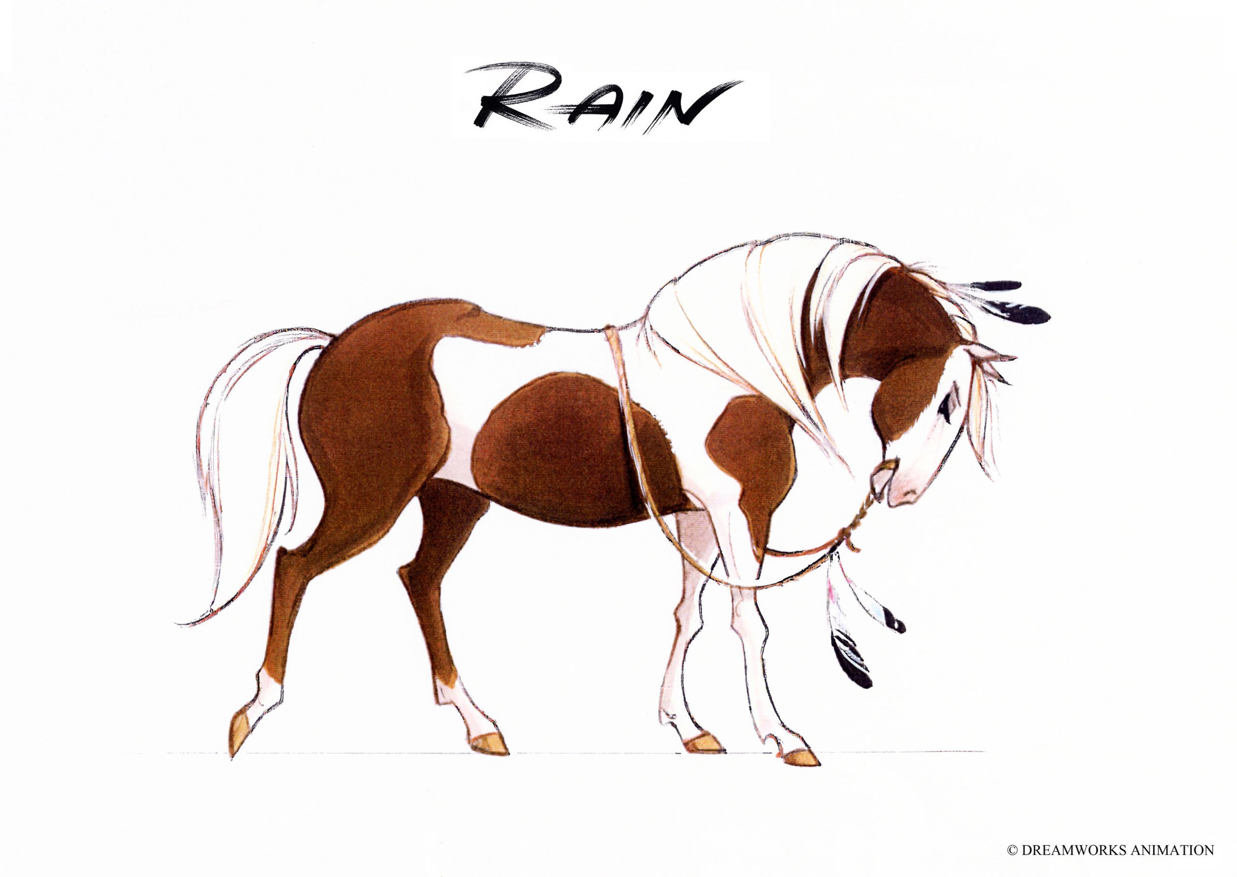 Spirit Stallion Of The Cimarron And Rain Drawings