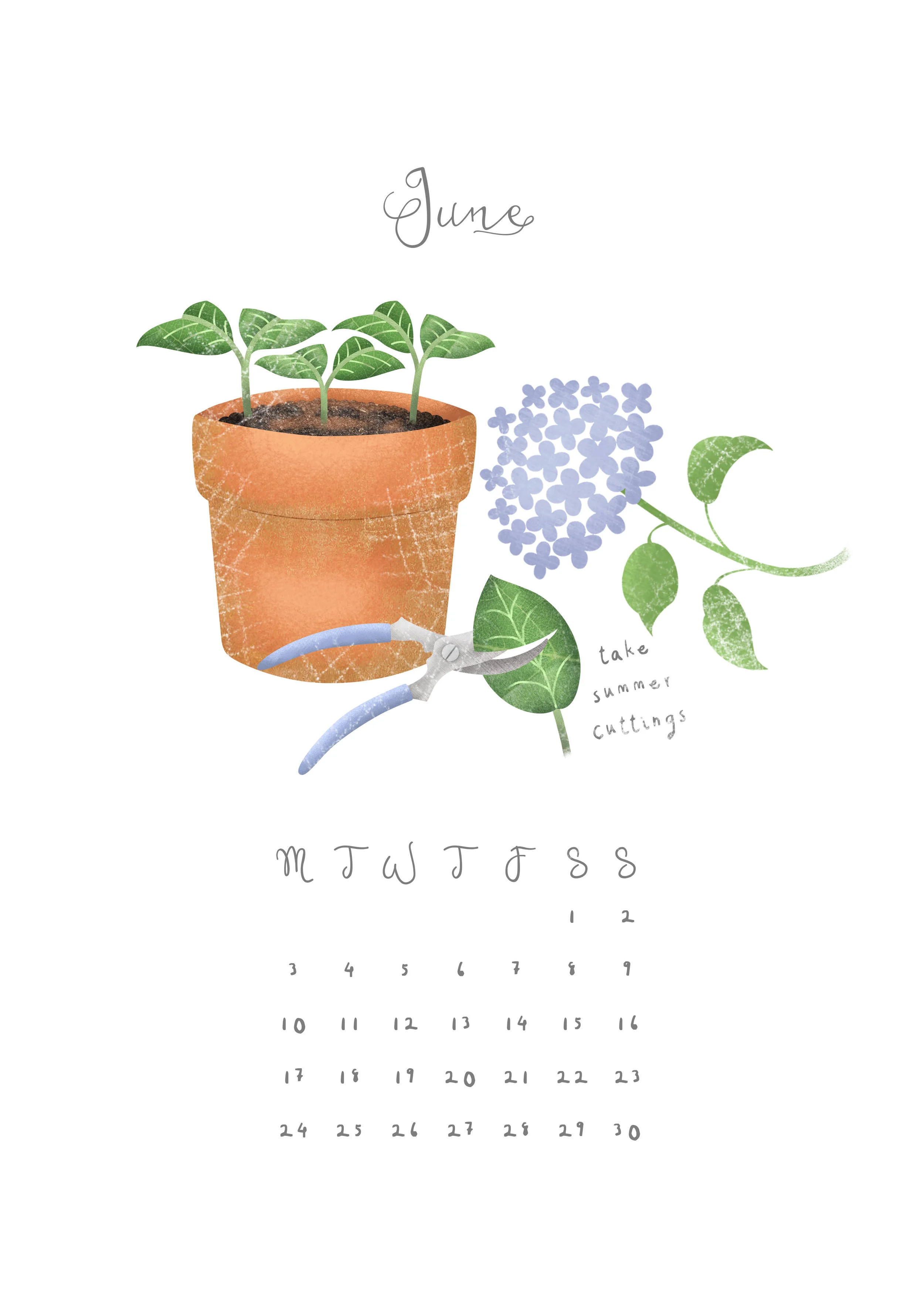 Hannah Weeks Illustration - June - Summer Cuttings - A4.jpg