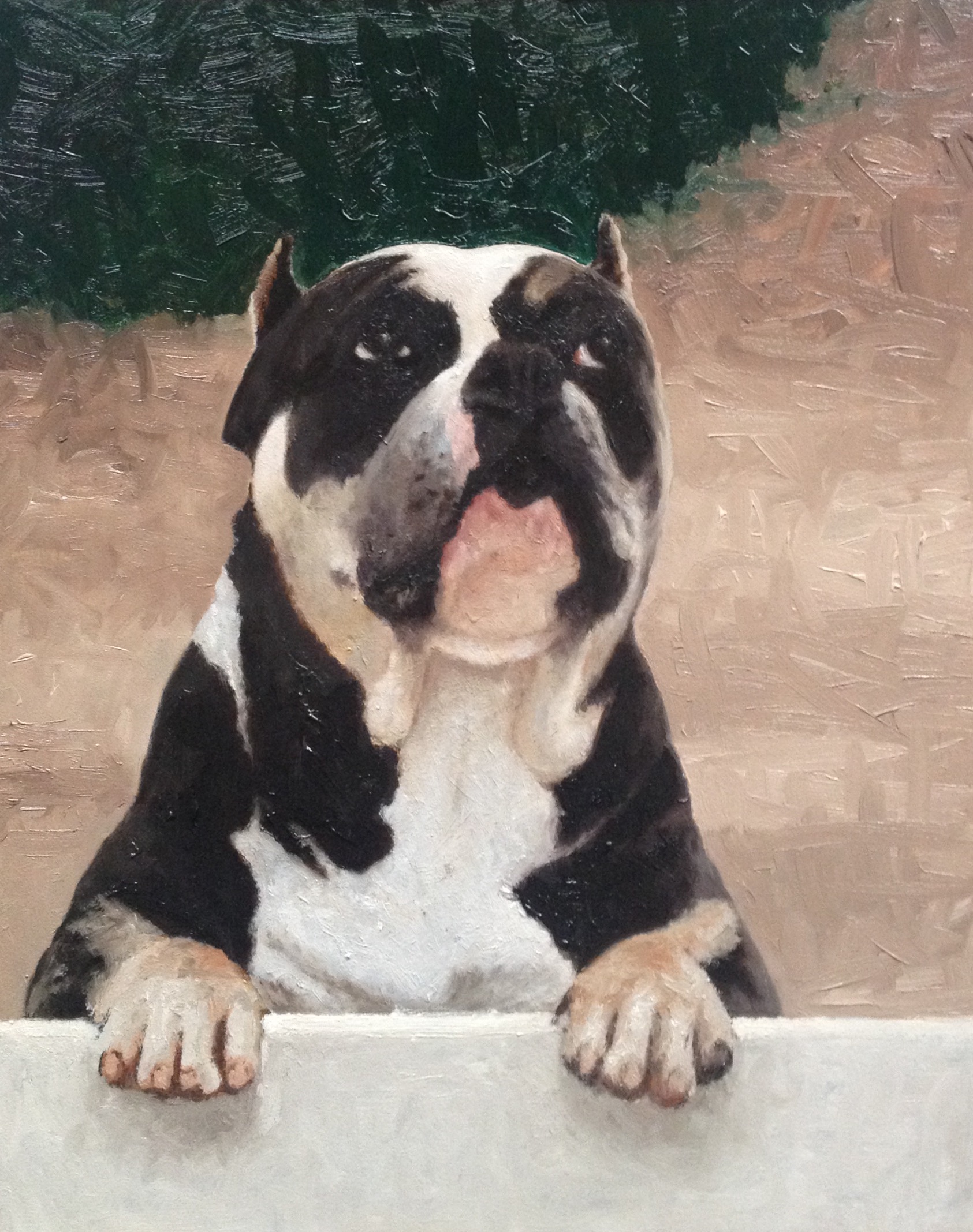 Dexter - Oil on Panel - 8 x 10 in