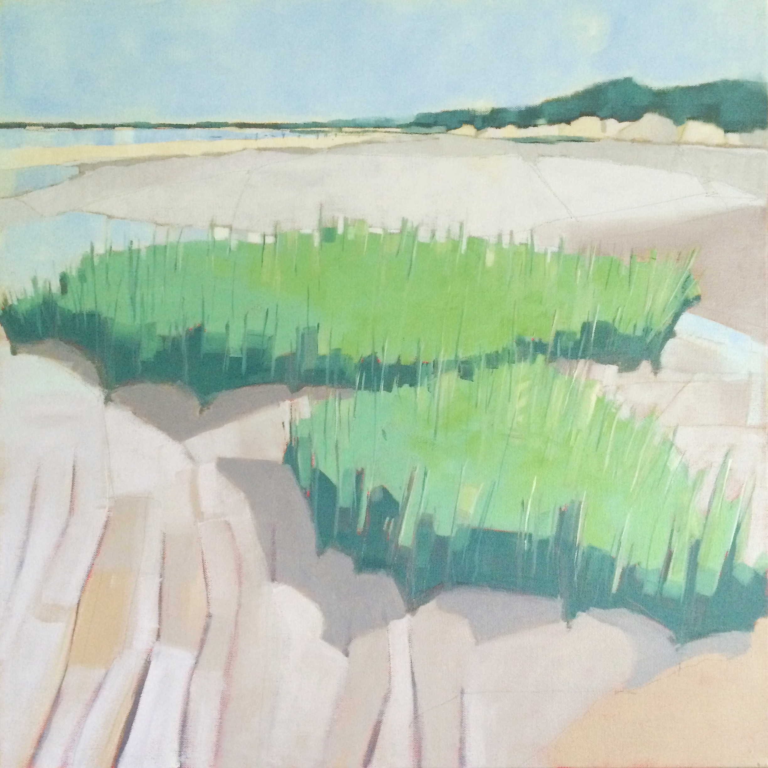 Mid August Marsh Grass