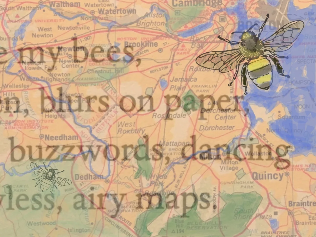 “buzzwords, dancing their flawless, airy maps.” - Carol Ann Duffy