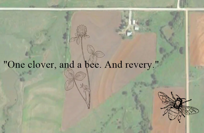 “To make a prairie it takes a clover and one bee,”… - Emily Dickinson