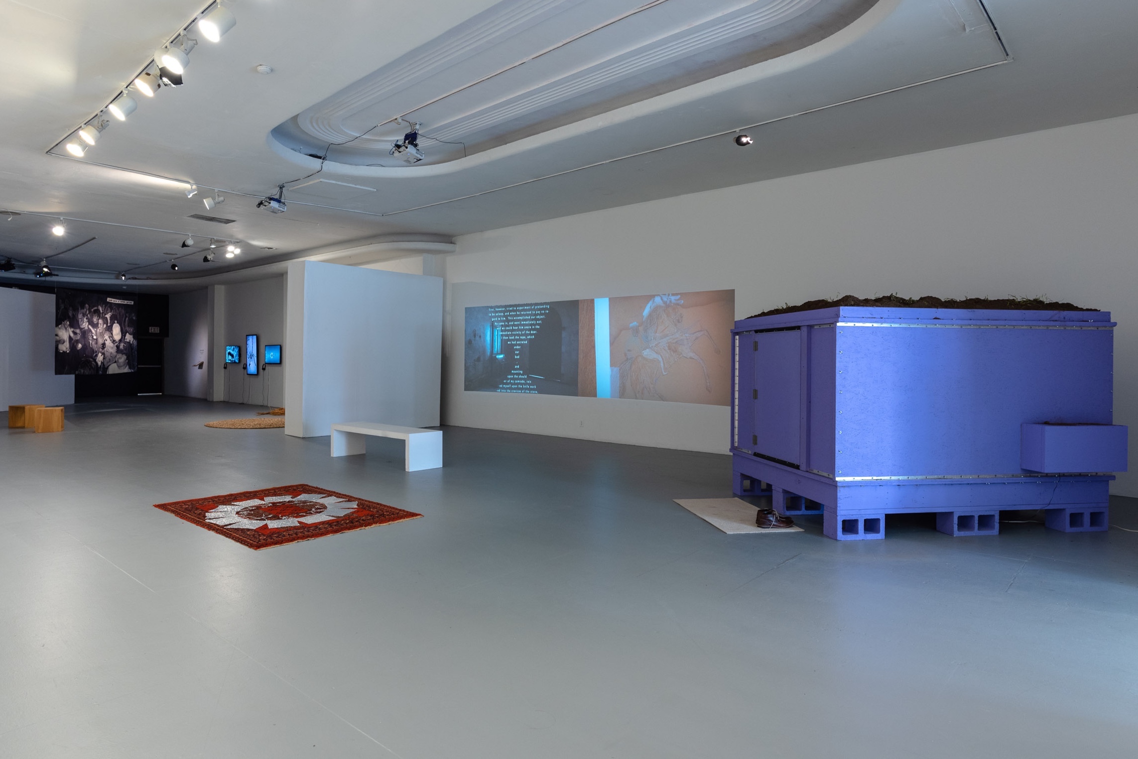 Installation at Los Angeles Contemporary Exhibitions as a part of Unraveling Collective Forms, April 3rd - May 25th, 2019