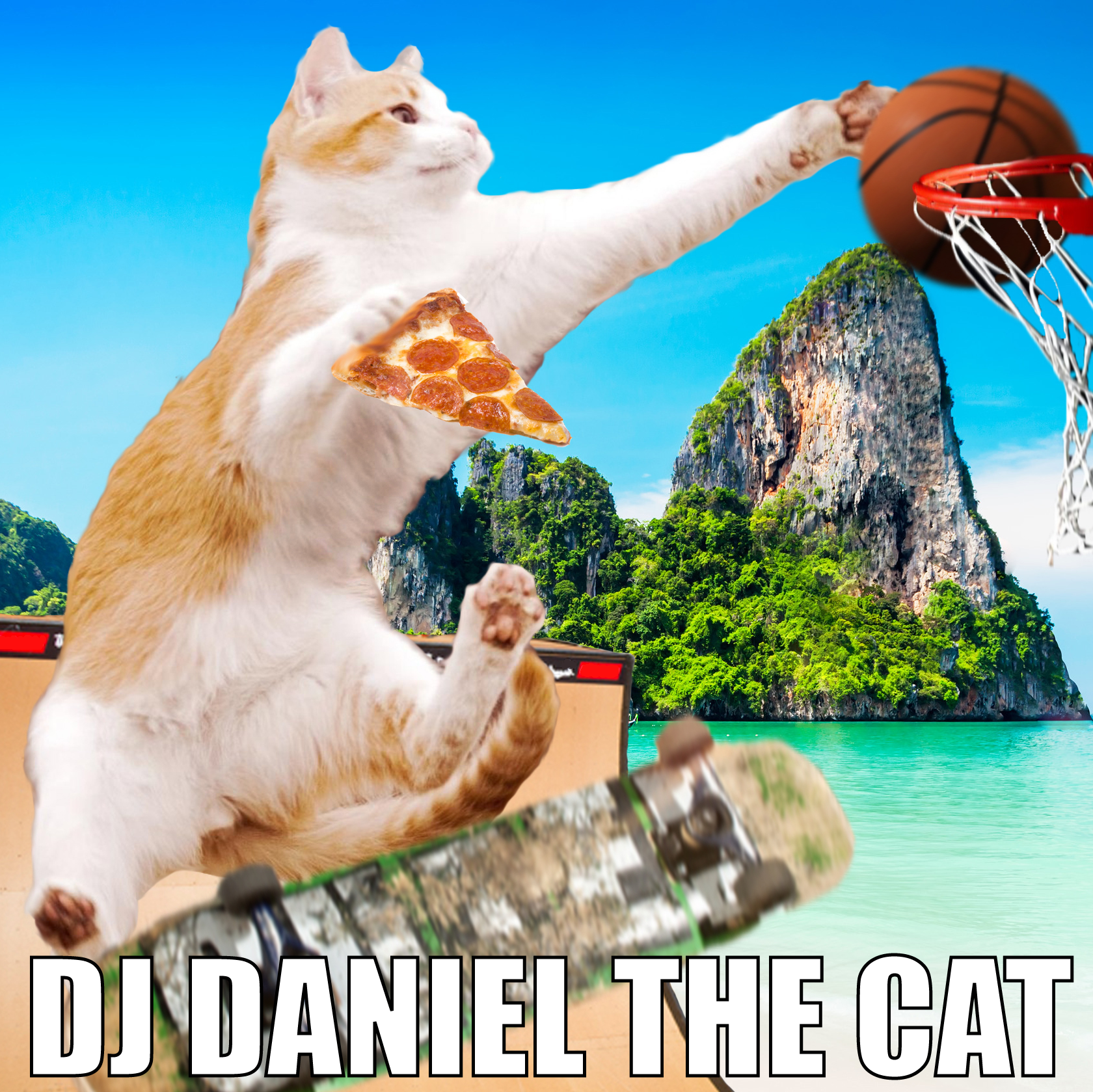 Album Cover - DJ Daniel the Cat.png