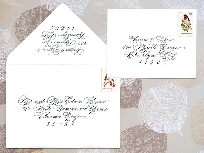 Birds-Envelopes-on-background.jpg
