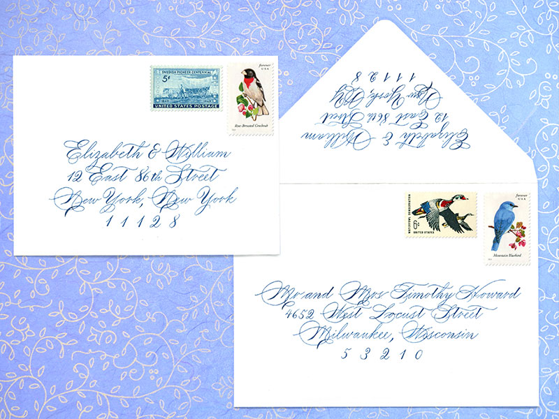 Tree-set-Envelope-on-background.jpg