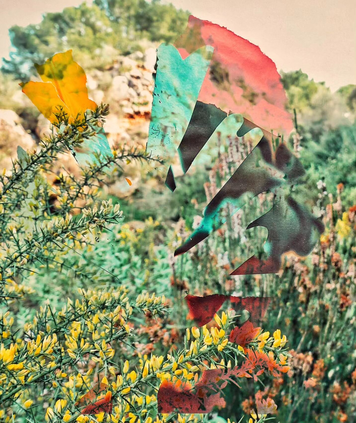 Flower bombs 🌸🐣🎉💖
.
.
#exploremore #blossom #spring #inspiration #tree #magic #bomen #heartwarming #bloom #lifelessons #bloesems #bloemen #natuurenbos #bos #vlaanderenvakantieland #trees #naturelover #greenery #nature #sunshine #park #spring #len