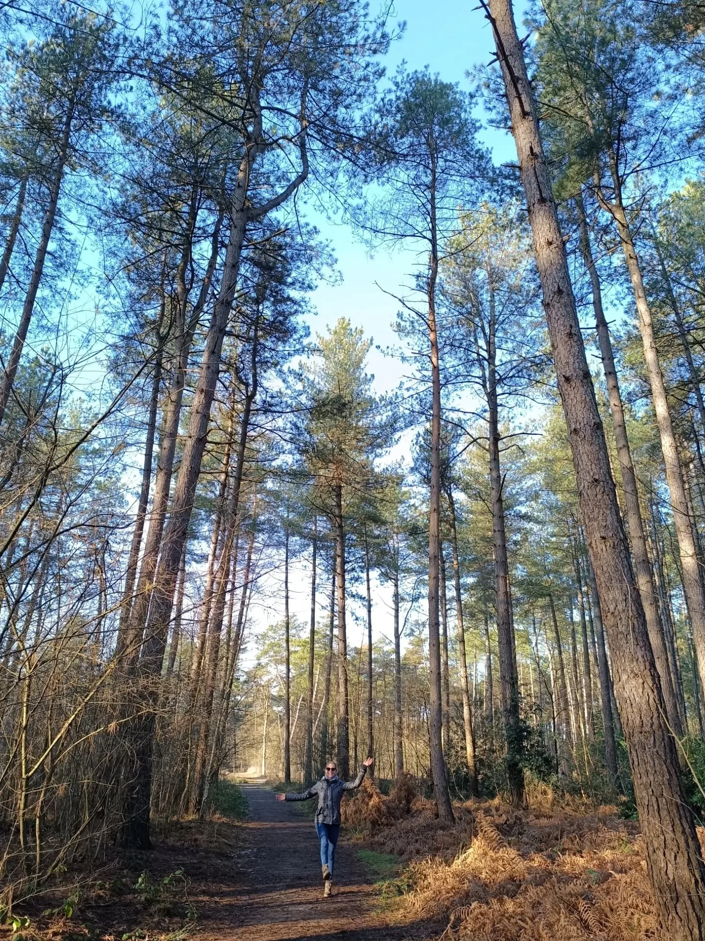 ☀️🪵🌲 Sunny winter weekend vibes 
.
.

#exploremore #greenery #water #inspiration #treelover
