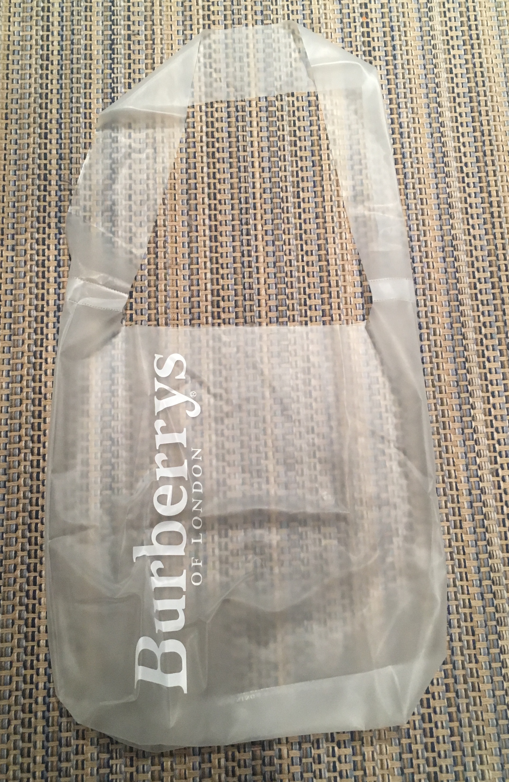 clear burberry bag