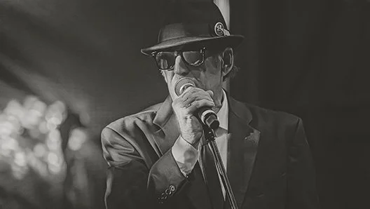 115 Bourbon Street • Merrionette Park, IL