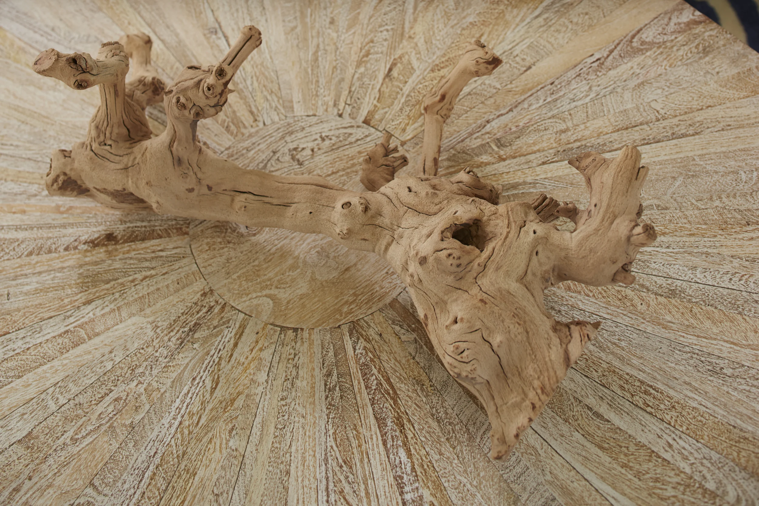 Driftwood close up on table.jpg