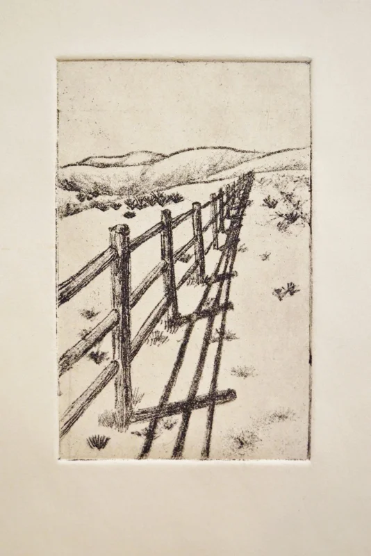 fencefixed (534x800).jpg