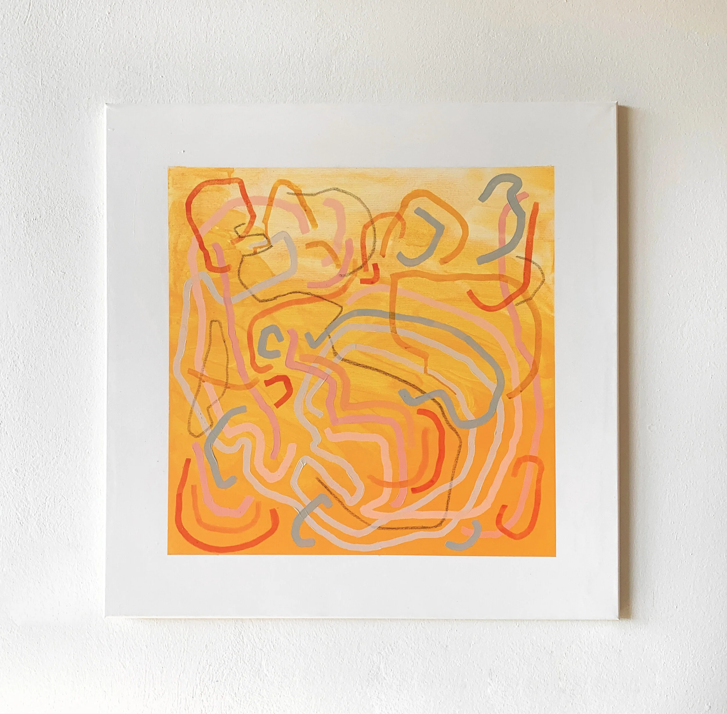 Areolis Germinis- Aja