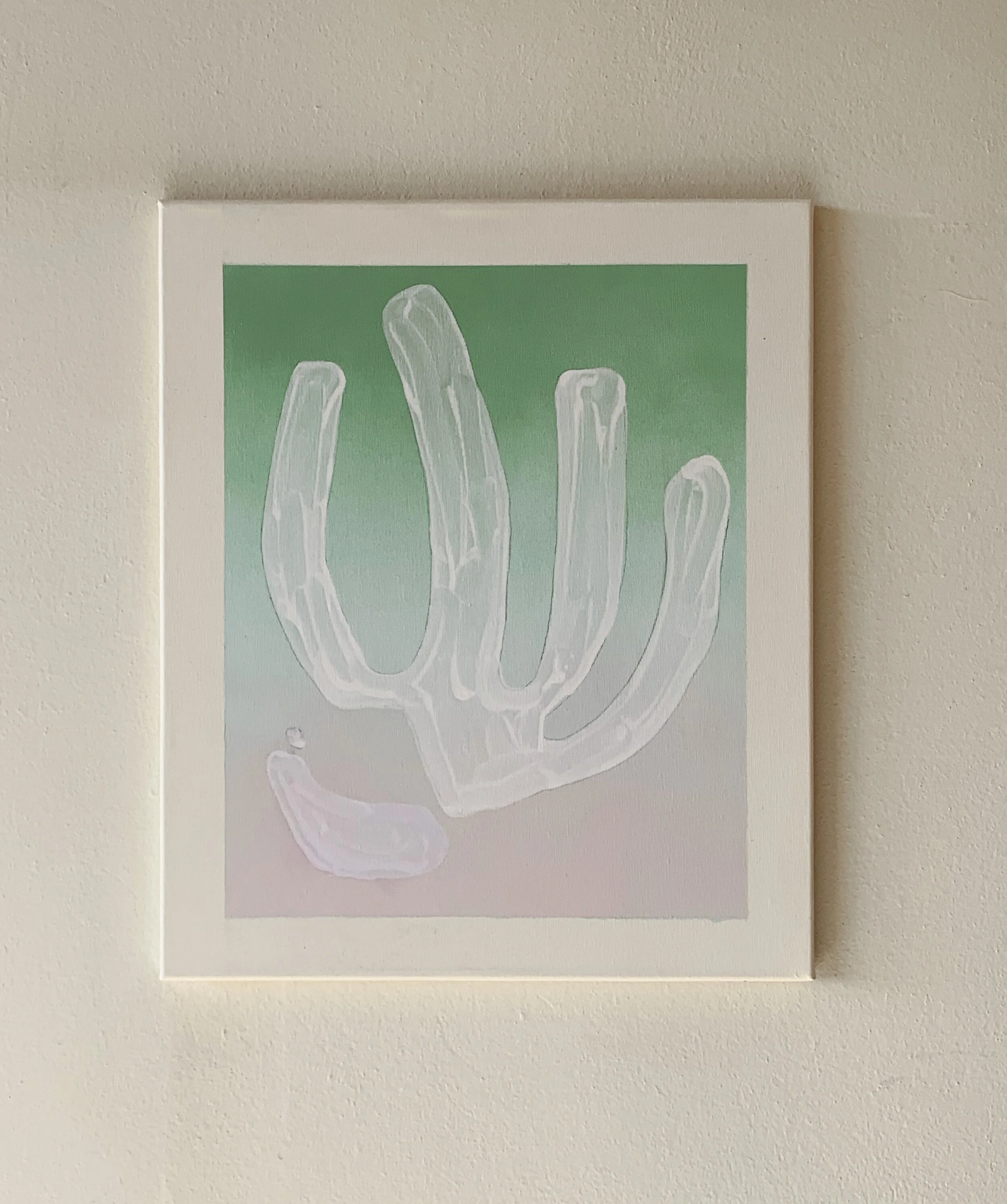 Areolis Germinis- proto XII.