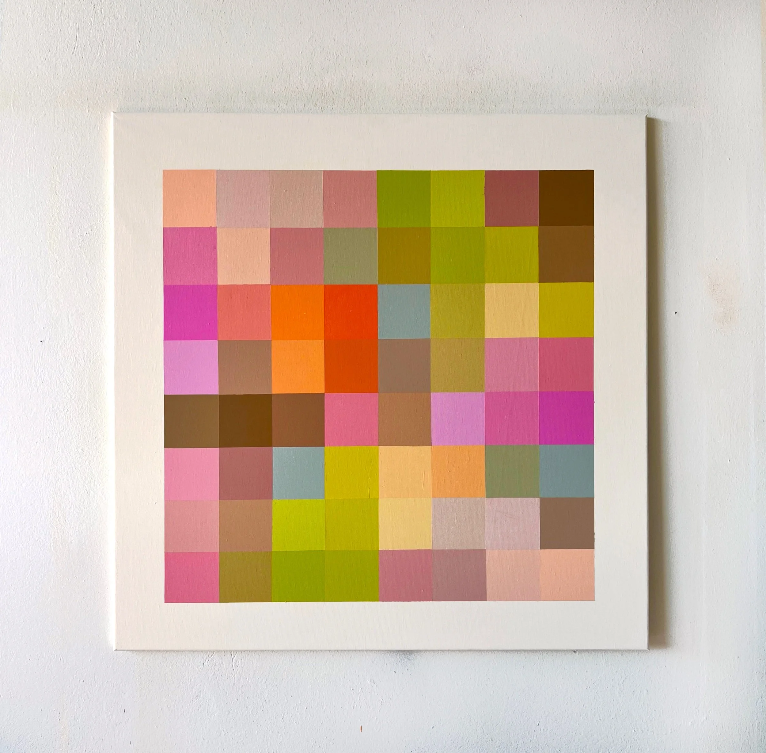 Areolis Germinis XLII.