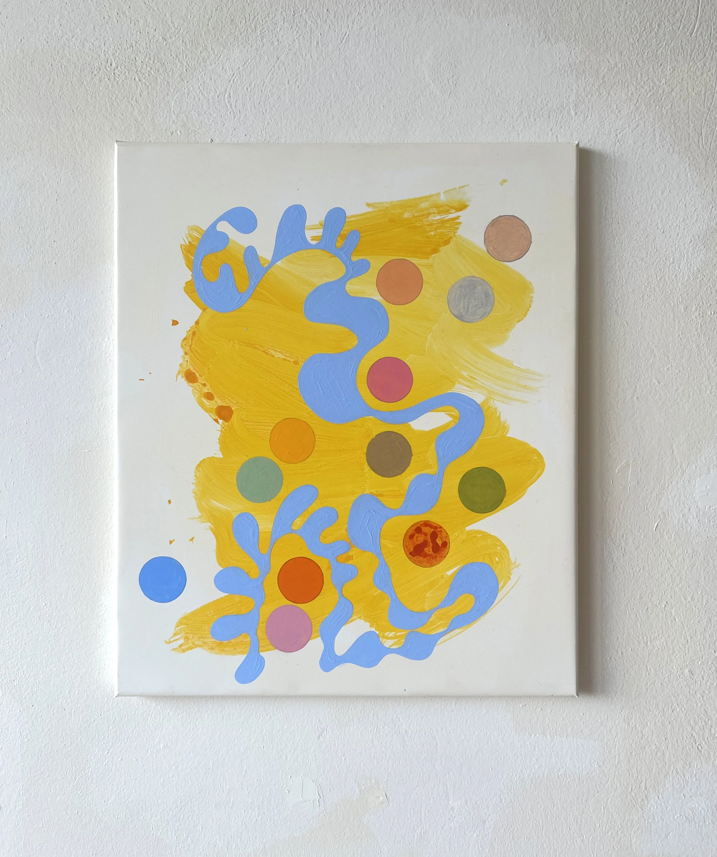 Areolis Germinis- proto XXXII.