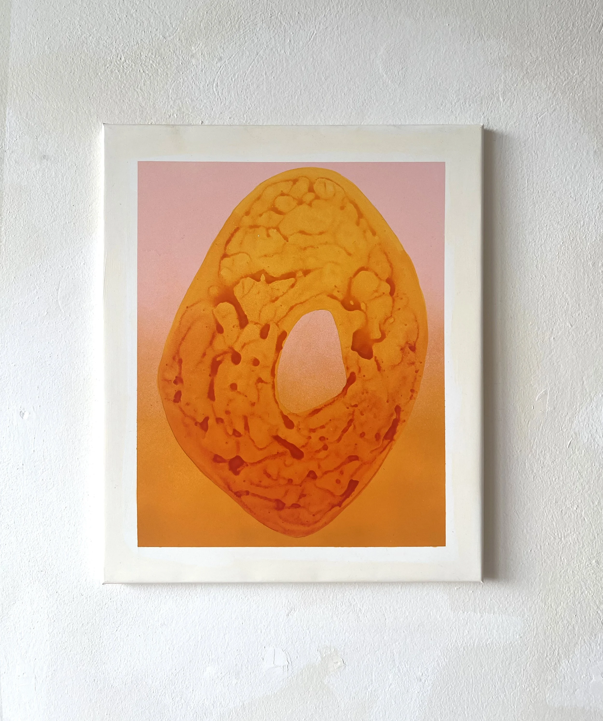 Areolis Germinis- proto XXXIV.