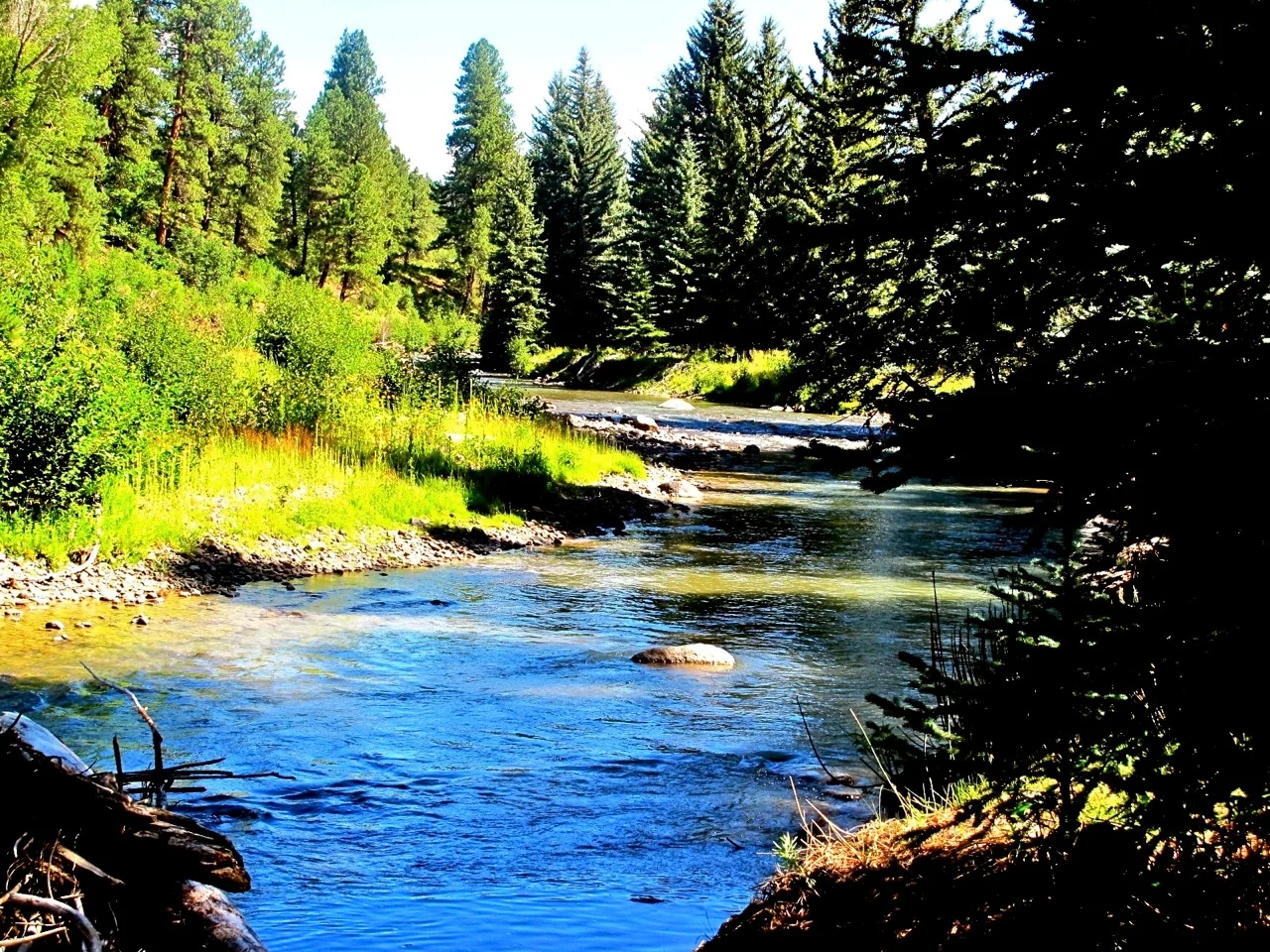 Pagosa Springs property for sale