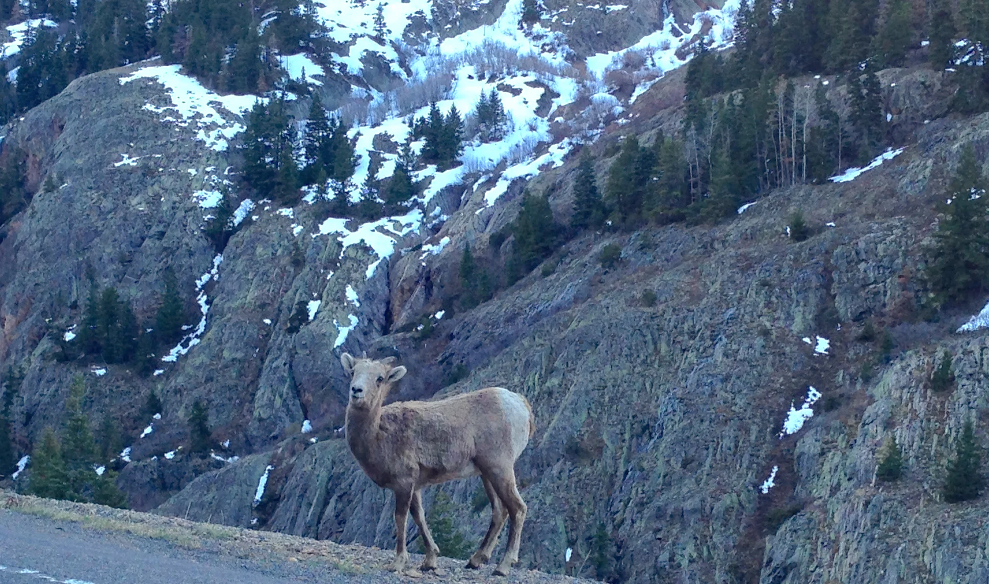 Recreational How to: Colorado Lifestyle