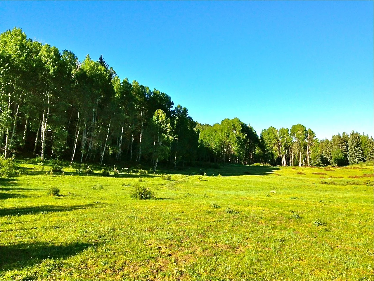 pagosa springs hunting land for sale