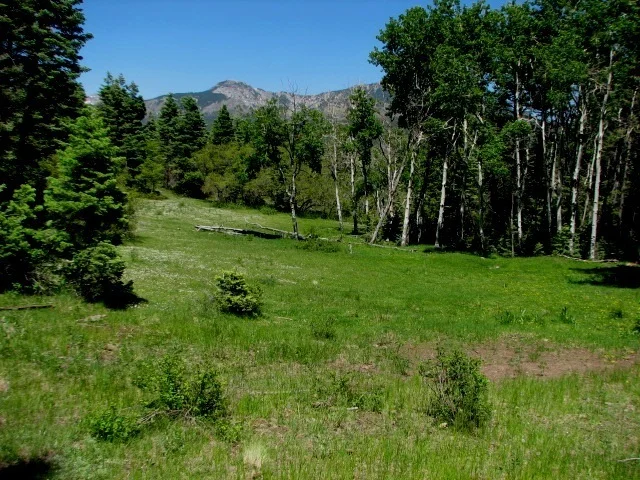 Pagosa Springs Hunting Ranch
