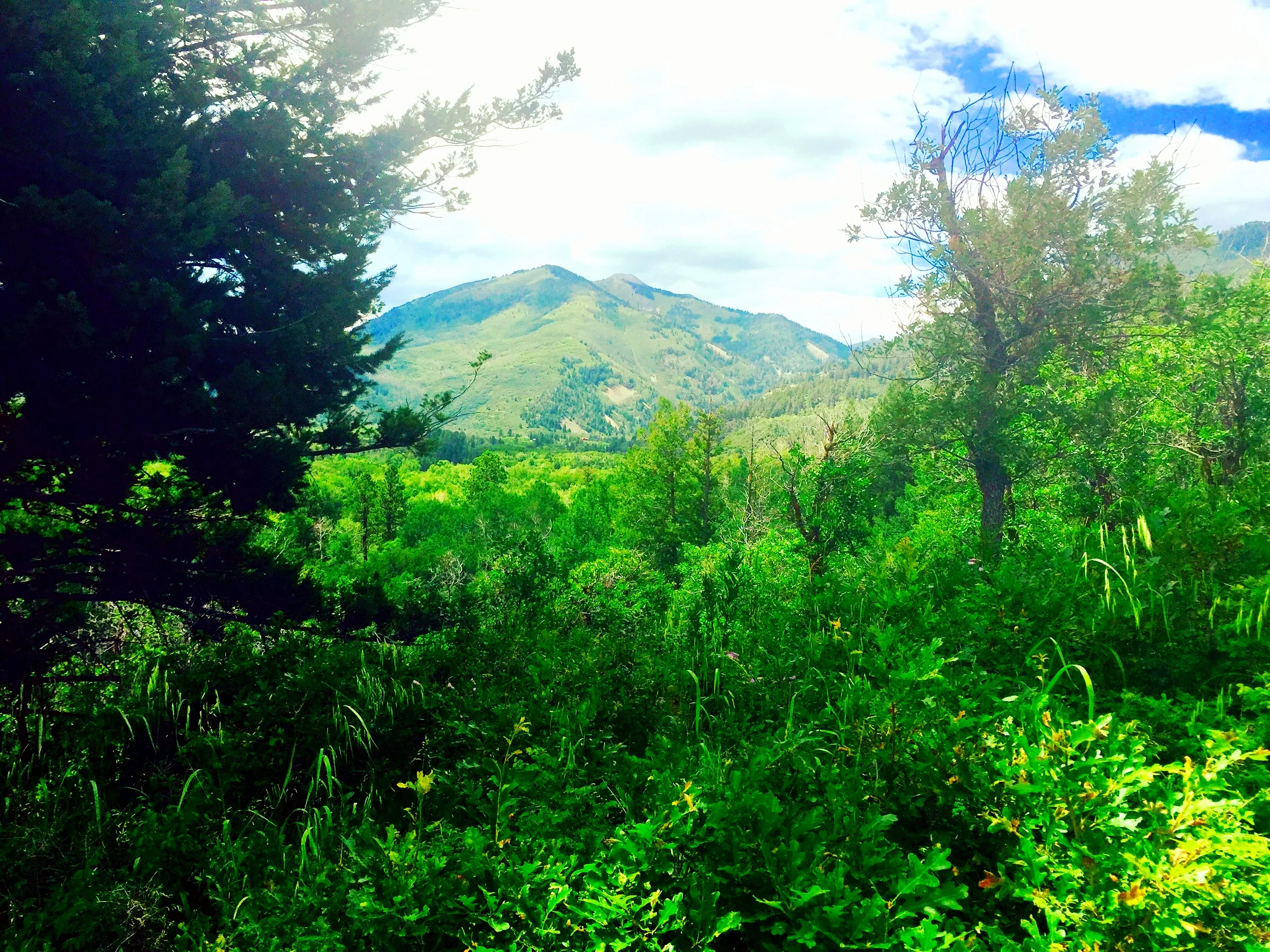La Plata Canyon Ranch
