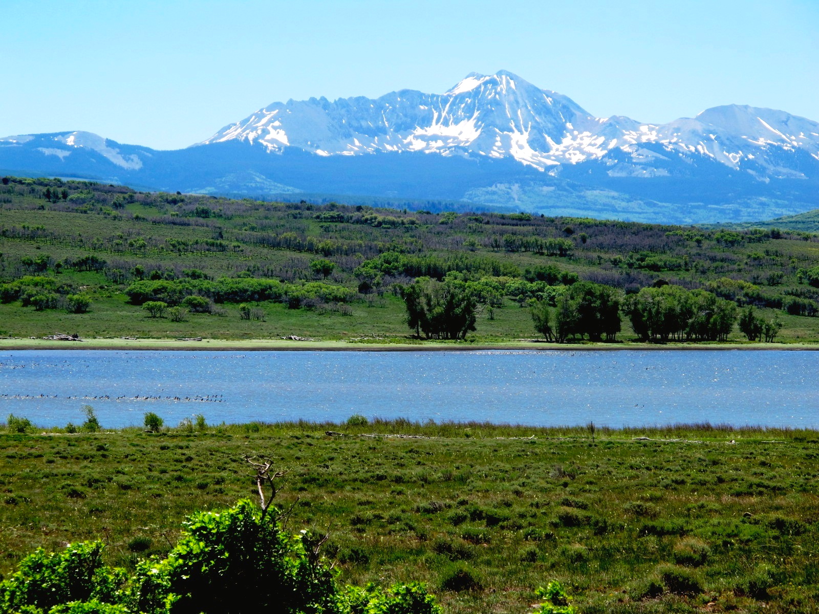 Colorado real estate 