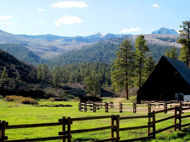 Colorado Mountain Land For Sale