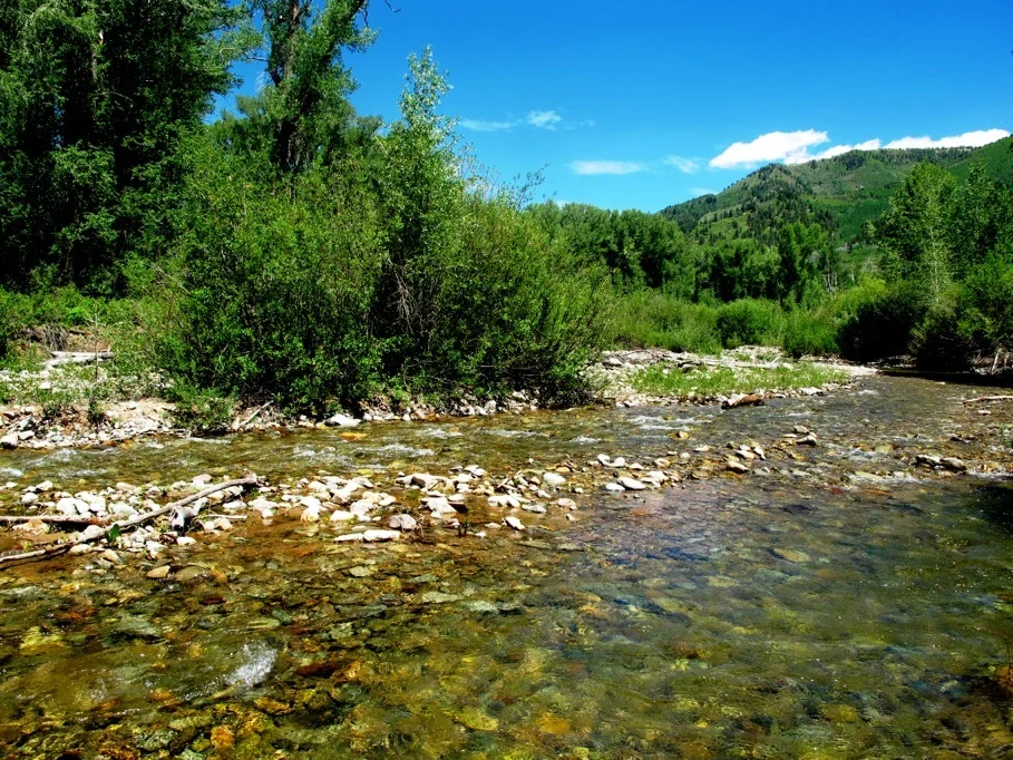 Durango Colorado ranch property