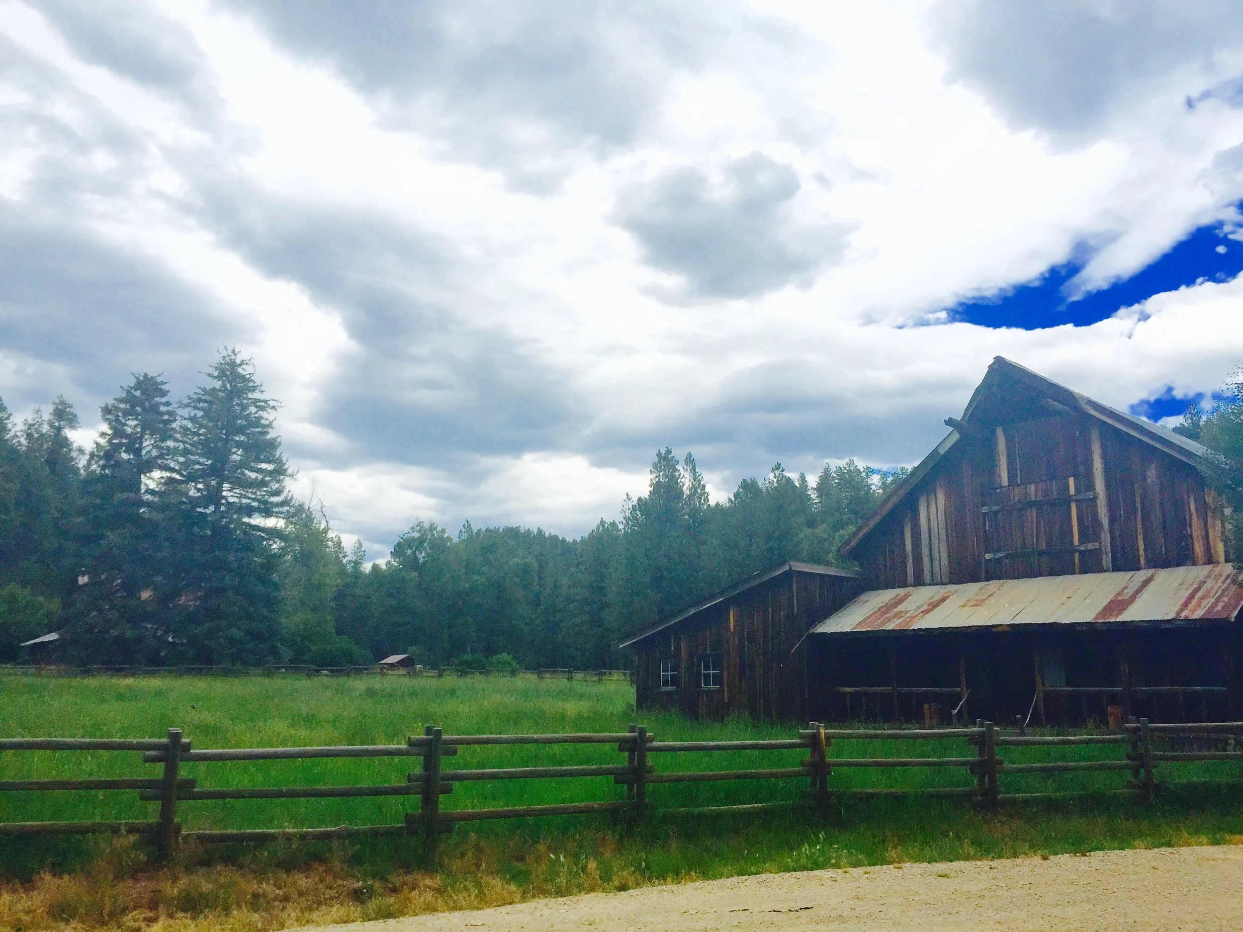 Colorado Land For Sale