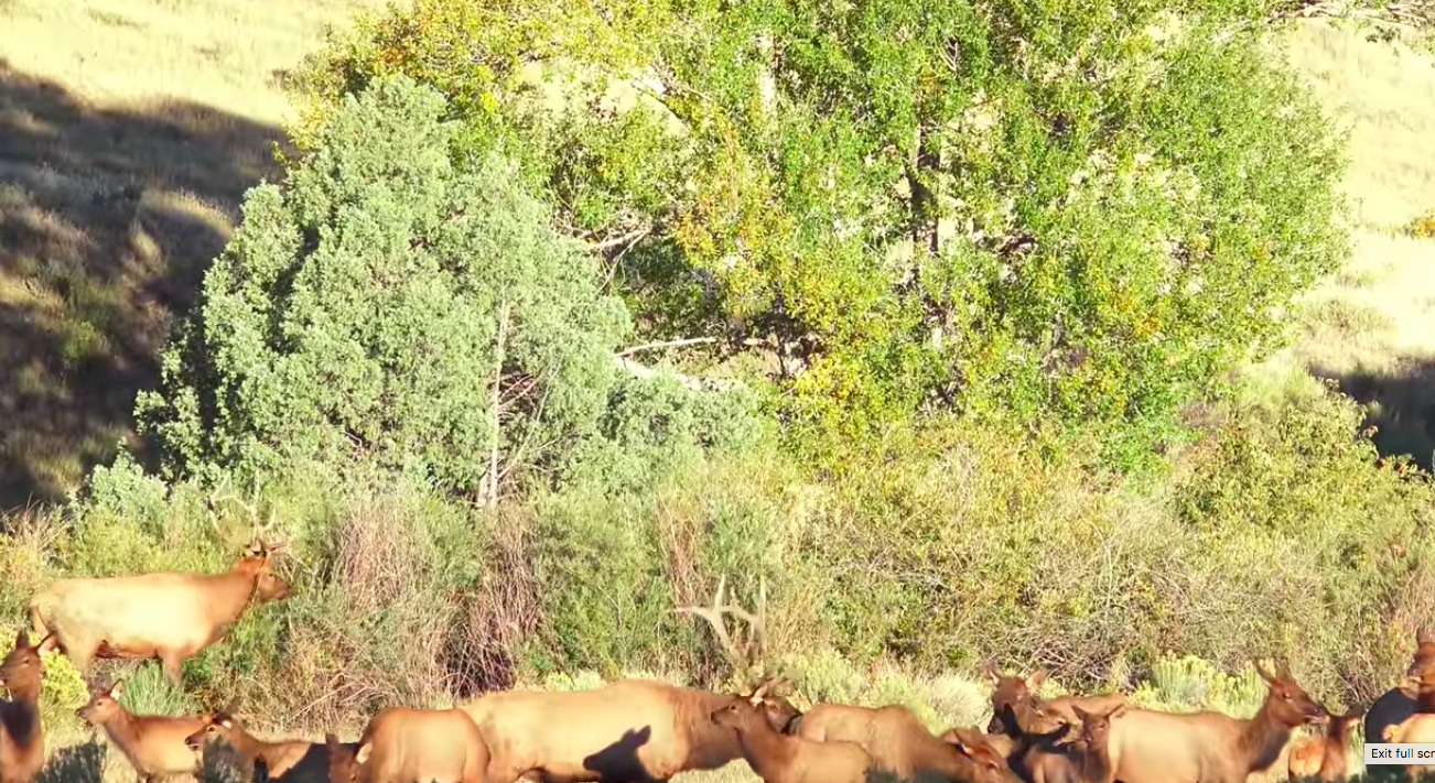 Colorado hunting land for sale