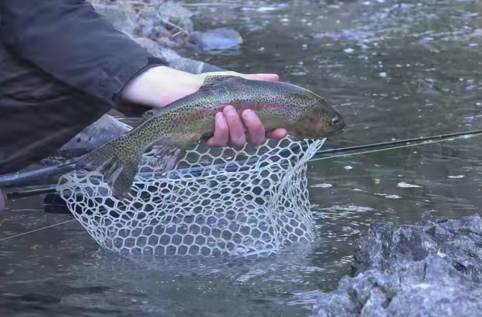 Colorado fishing land for sale