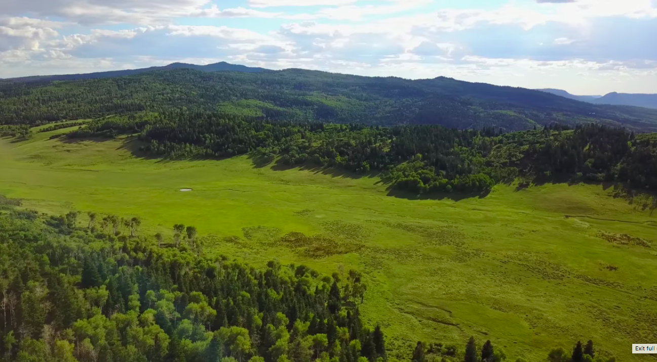 Colorado land for sale